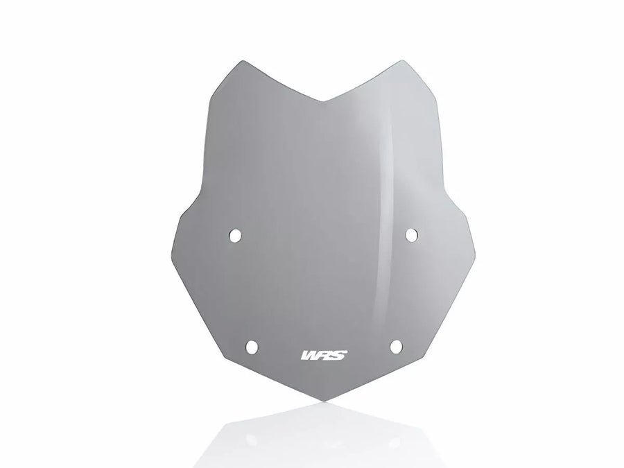 BMW R 1200 R [WRS] - pare-brise
