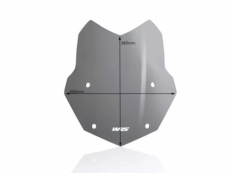 BMW R 1200 R [WRS] - pare-brise