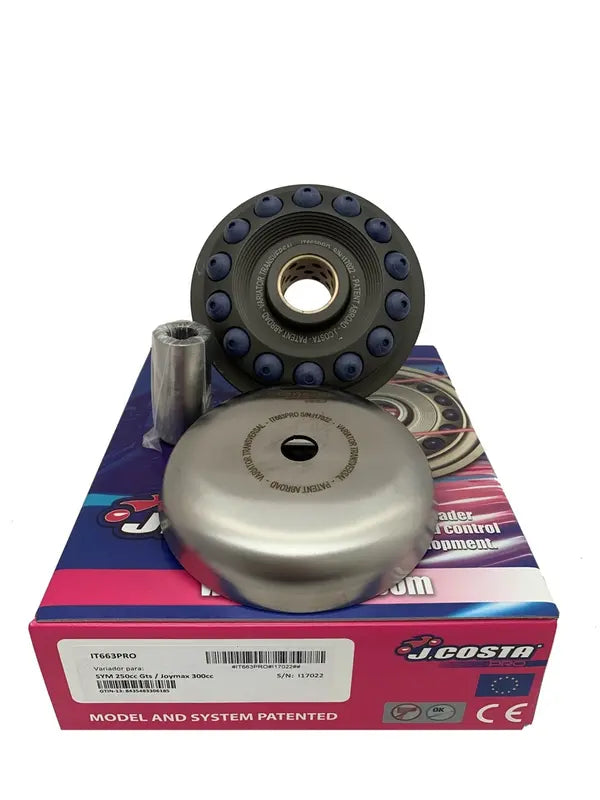 Tgb X-MOTION 250 EFI [2010] - Variator Pro – Bild 2