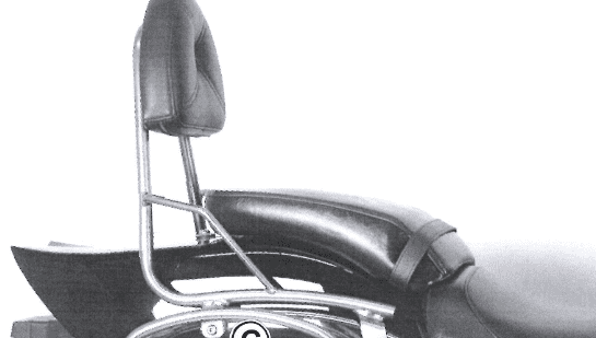 Suzuki M 800 Intruder [2005-2009] - Sissybar sans pont de bagages