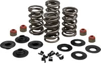Harley-Davidson FXSBSE2 1800 Breakout CVO [2014] - Endurance Beehive valve spring set for Screamin' Eagle heads - picture 10