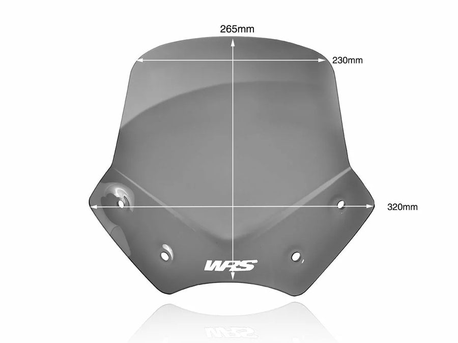 BMW R 1200 R [WRS] - windshield