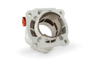 Aprilia SR Netscaper 50 2T LC - cylinder kit R/T 95ccm