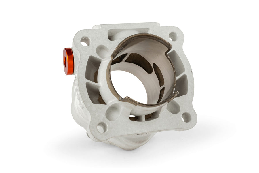 Aprilia SR Netscaper 50 2T LC - cylinder kit R/T 95ccm