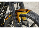 Harley Davidson Touring [RICK'S MOTORCYCLES] – Vorderer Touring-Kotflügel-3