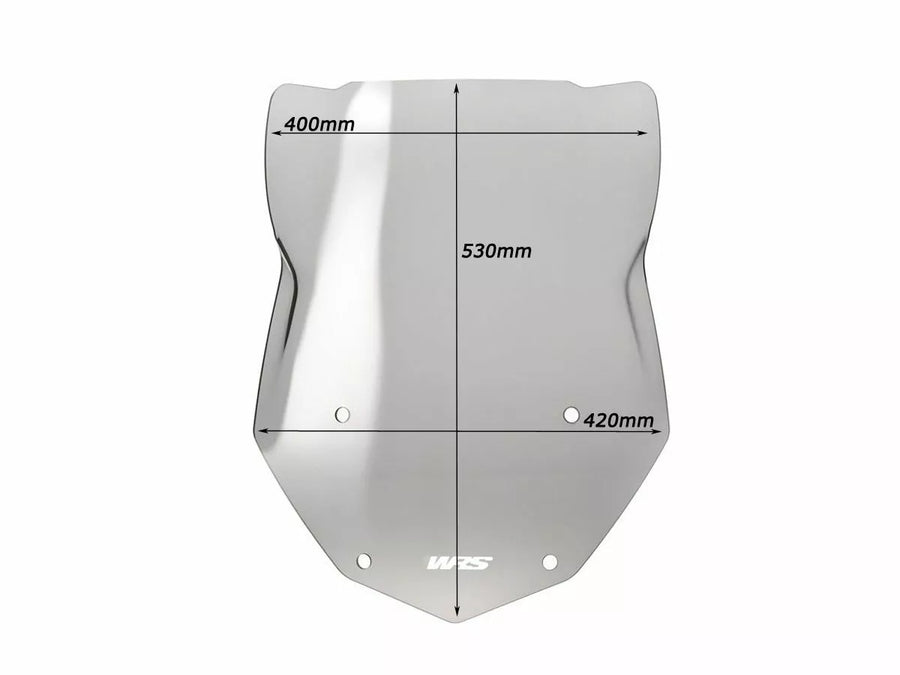 BMW R 1200 R [WRS] - windshield