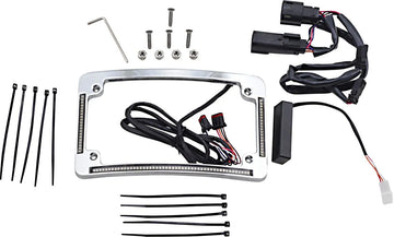 harley davidson fltruse [CUSTOM DYNAMICS] – LED Radius Kennzeichenrahmen