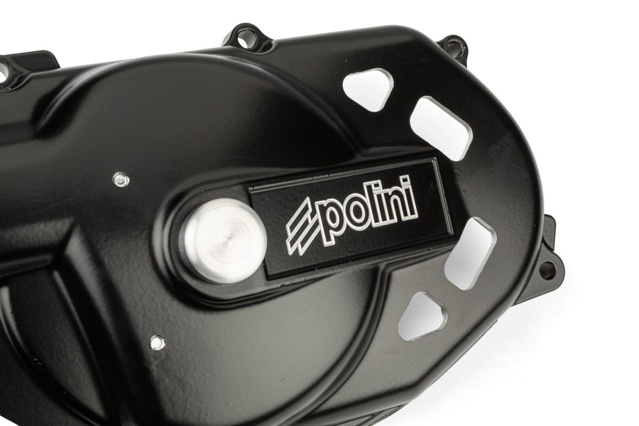 Aprilia SR Netscaper 50 2T LC - variator cover Big Evolution