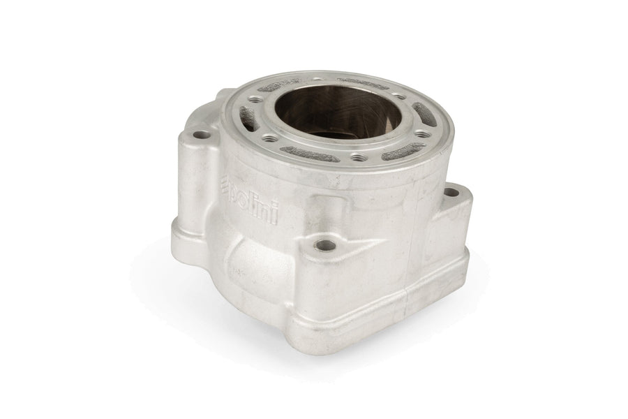 Aprilia SR Netscaper 50 2T LC - cylinder kit PRE4 100ccm