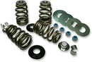 Harley-Davidson FXDSE 1800 Dyna Screamin Eagle [2007] - Endurance Beehive valve spring set for Screamin' Eagle heads - picture 4