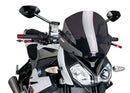 BMW S 1000 R [2018] – New Generation Sport – Getönt-12