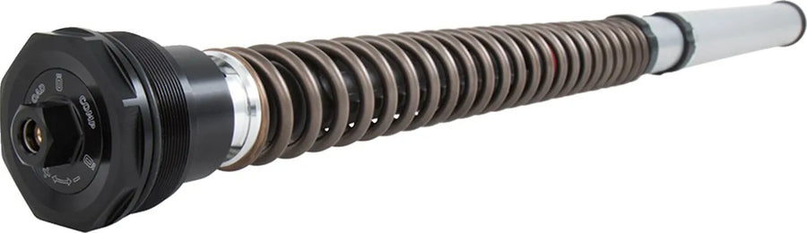 ducati scrambler 1100 [OHLINS] – FKS cartridge kit