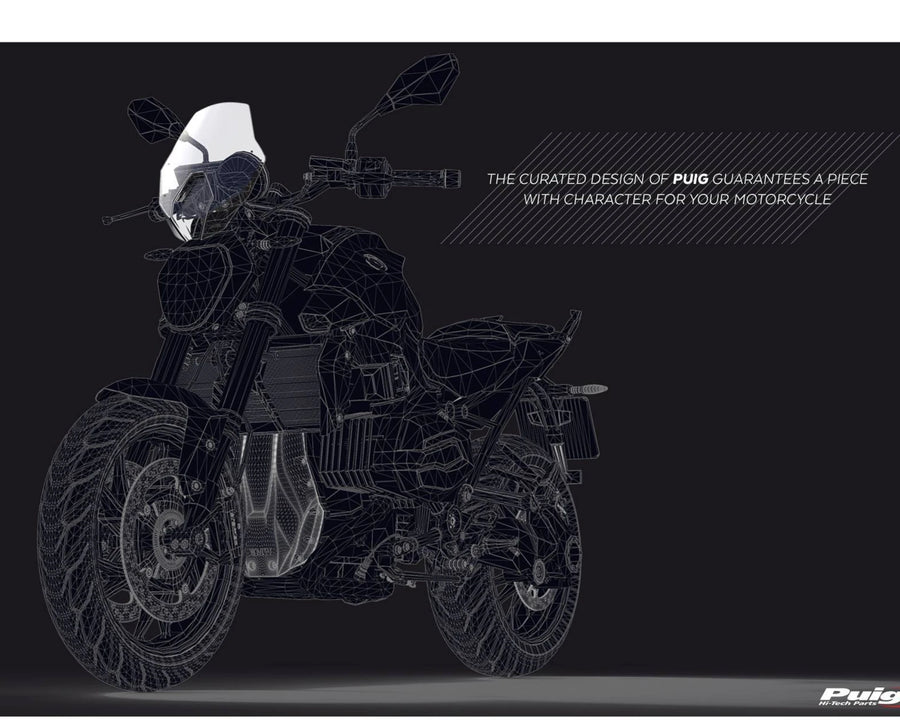 BMW R 1250 R [2025] – New Generation Sport – Transparent