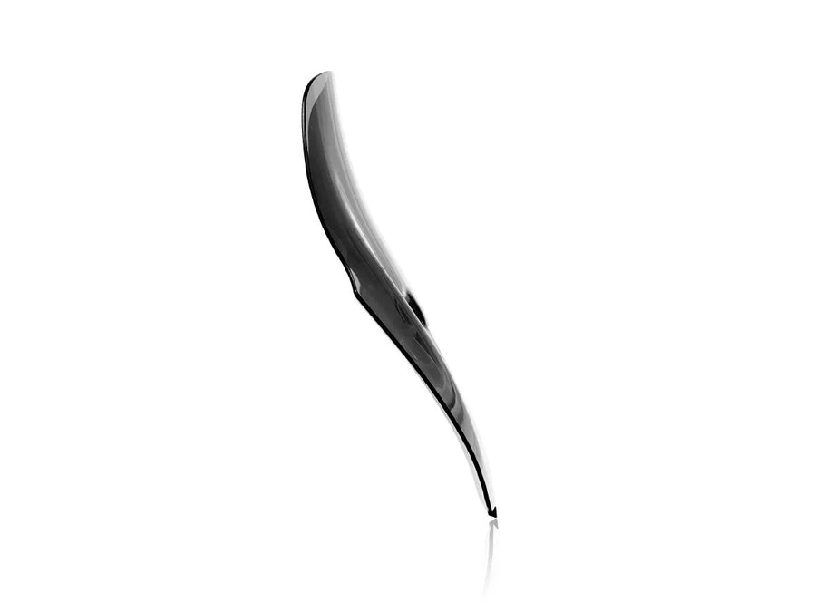 ducati diavel [WRS] – Windschild