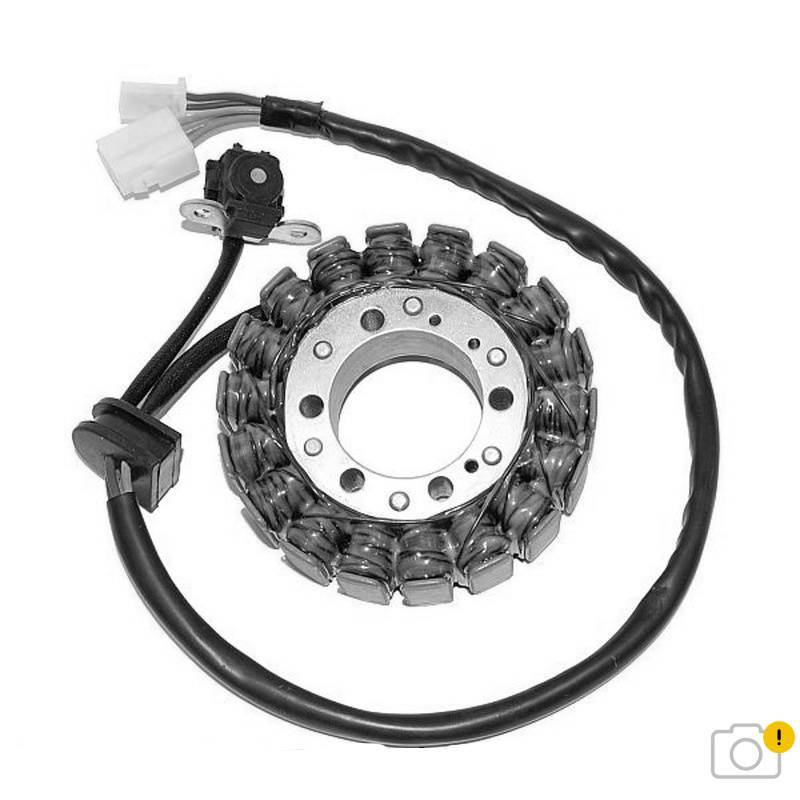 Suzuki Gladius 650 [ELECTROSPORT] - Stator - Suzuki 650 Gladius
