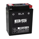Yamaha XT 600 [BS BATTERY] - Motorradbatterie-1