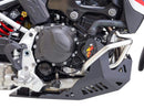 Bmw F 900 Gs [AXP] - Adventure underrun protection - PE-HD 8mm-3