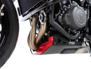 Triumph Trident 660 [2025] - Bugpoiler-4