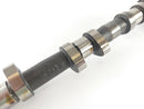 Triumph Sprint 955i RS T695 [2000] - Ncokenwelle Auslassnockenwelle-3