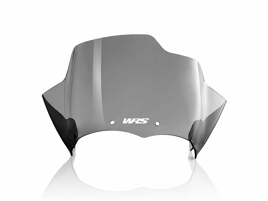 BMW R 1200 R [WRS] - windshield