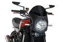 KAWASAKI Z 900 RS SE [2025] – Bulle Rétro Carénage – Teintée-7