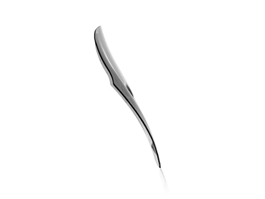 ducati diavel [WRS] – windshield