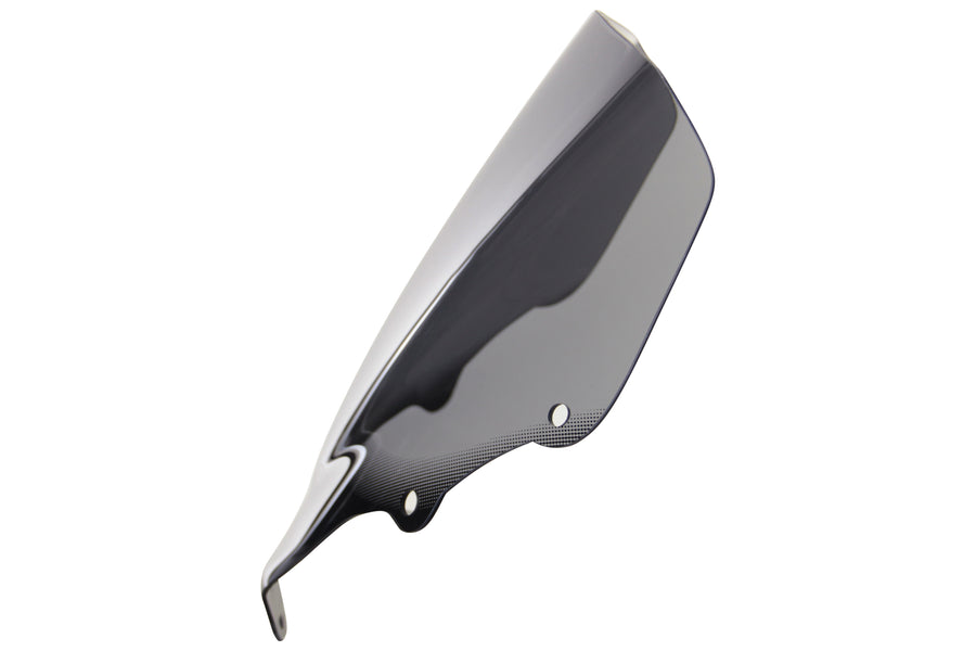 Honda CBR 125 R [2004-2006] – Racingscheibe "R"