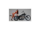 Harley Davidson FL Shovel [1982-1984] – Super Charger Riemenscheibe Chrom 1 1/2" 70 …-8