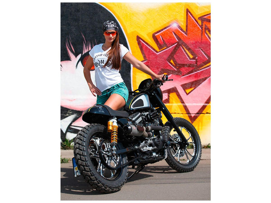 Harley Davidson Sportster [1986-2013] -T-5 Série de Midnight Disc en 2 parties ...