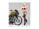 Harley Davidson Touring [2008-2024] – T-5 2-teiliger Bremsscheibe Chrom 11,8" Hinten-8