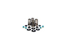 Modèle Harley Davidson FX [1985-1994] - High-performance Basket Basket Valve Spring Kit-1