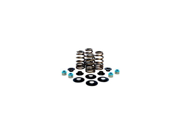 Modèle Harley Davidson FX [1985-1994] - High-performance Basket Basket Valve Spring Kit