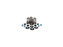 Modèle Harley Davidson FX [1985-1994] - High-performance Basket Basket Valve Spring Kit-3