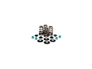 Modèle Harley Davidson FX [1985-1994] - High-performance Basket Basket Valve Spring Kit-3