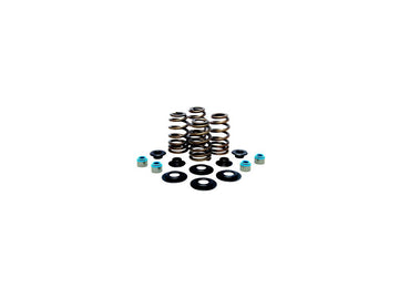 Harley Davidson Sportster [2004-2020] -set de printemps de vanne de panier d'abeilles