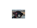 Harley Davidson FLHTCUI [2005-2006] – Hochleistungs-Ersatzwindschutzscheibe Höhe: 4"-3