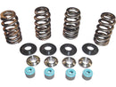 Harley Davidson Dyna [2005-2017]-05 TC valve spring STL CLR conical valve spring kits-3