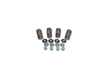 Harley Davidson Dyna [2005-2017] -05 TC Valve Spring Tit CLR Kits de printemps de valve conique