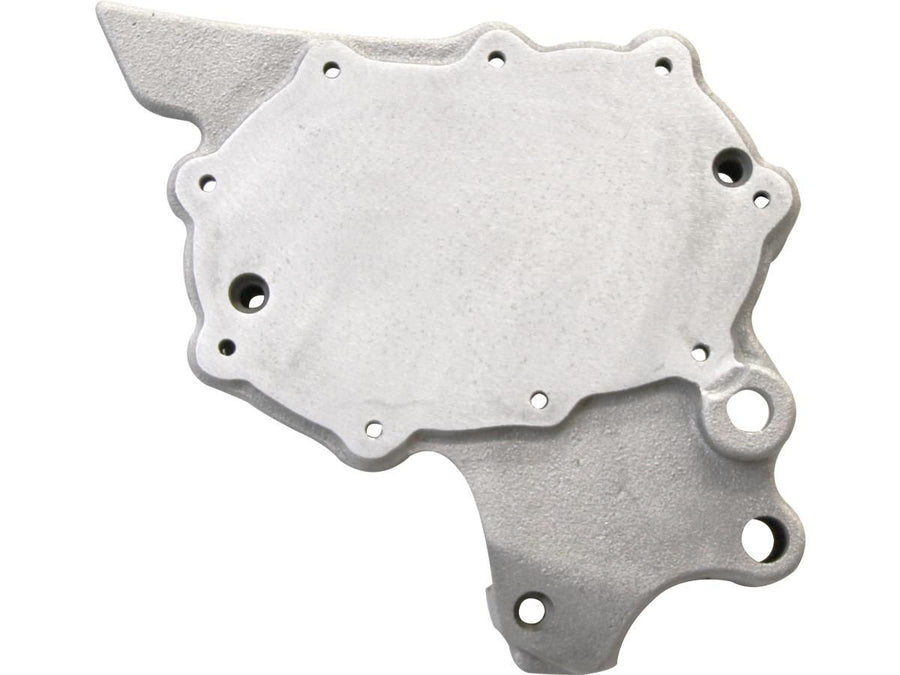 Harley Davidson Sportster [1991-2003]-E-Kick Electric 1991/2003, raw for Sportstter