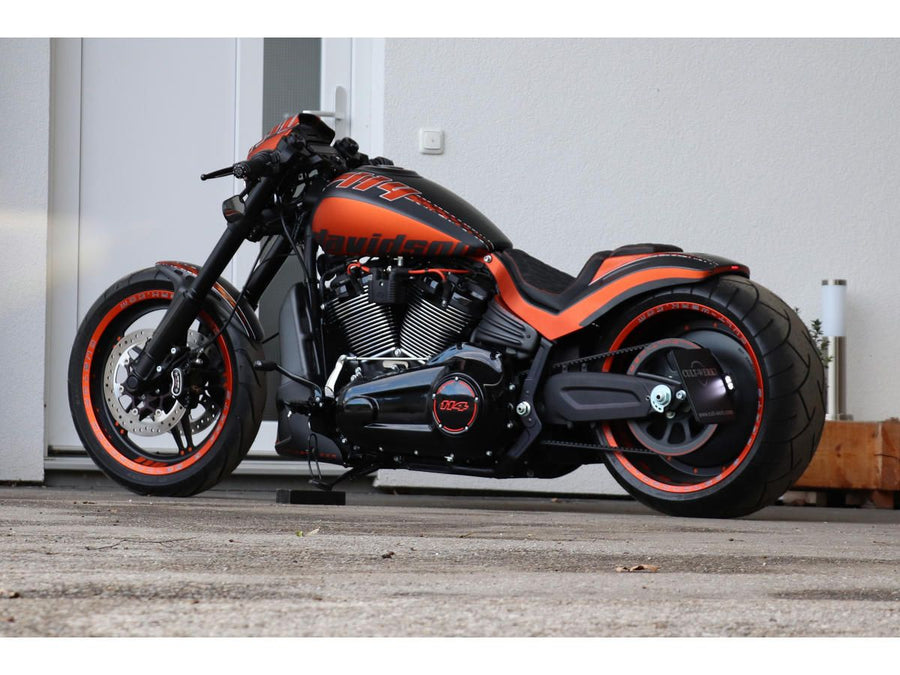 Harley Davidson FXDRS 114 area of ​​application [2019-2020]-side assembly
