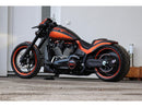 Harley Davidson FXDRS 114 area of ​​application [2019-2020]-side assembly-13