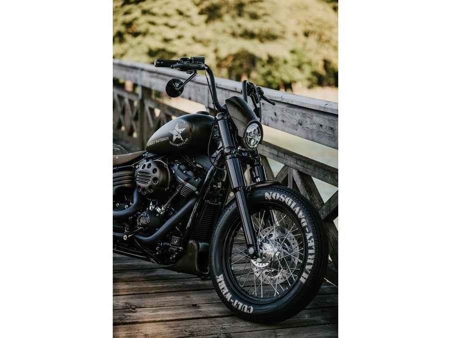 Harley Davidson Softail [2018-2025] -Bobber Chin Cladding