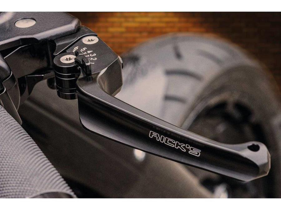 Harley Davidson Sportster [2004-2013] – Klassisches einstellbares Brems- und