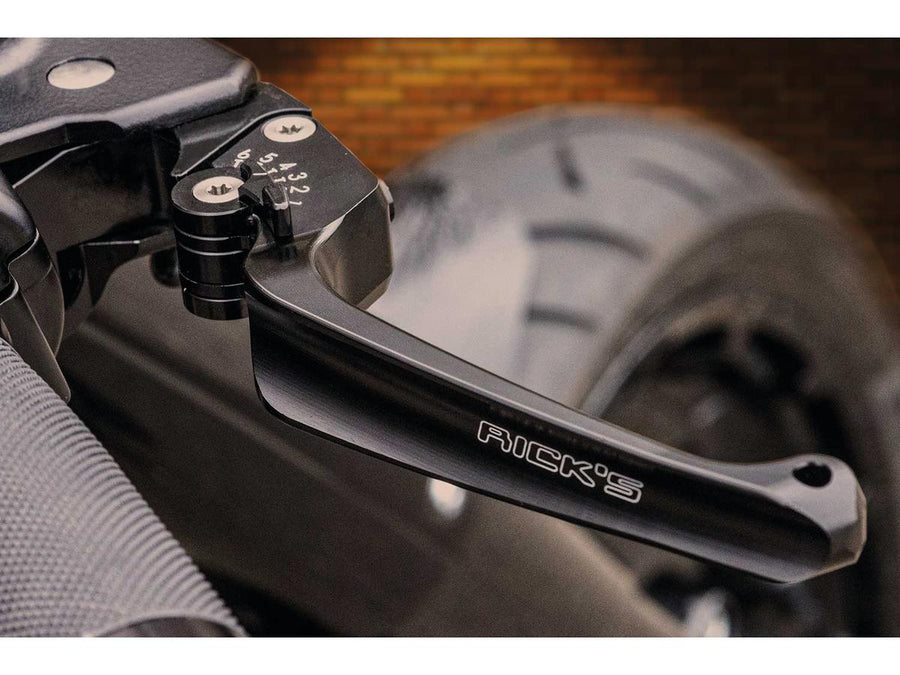 Harley Davidson Sportster [2004-2013] – Klassisches einstellbares Brems- und