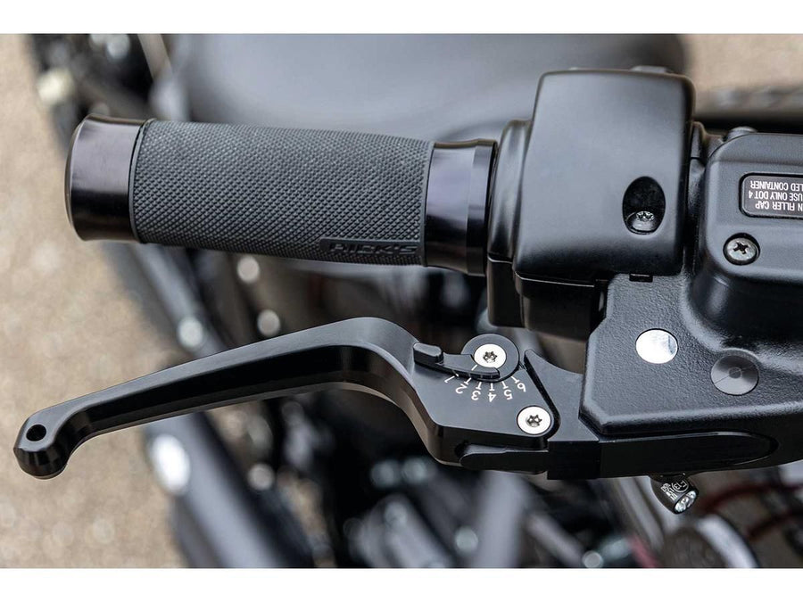 Harley Davidson Sportster [2004-2013] – Klassisches einstellbares Brems- und