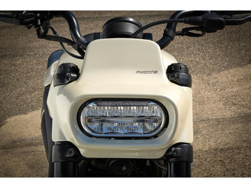 Harley Davidson Sporters S RH1250S [2021-2025] -La Numéro de grain