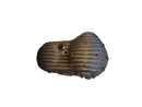 Harley Davidson Sportser Note [2004-2020]-Ribsters primary lid-3