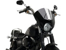 HARLEY DAVIDSON STREE-6