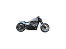 Harley Davidson – Slim Seitenverkleidung Carbon-Look-3