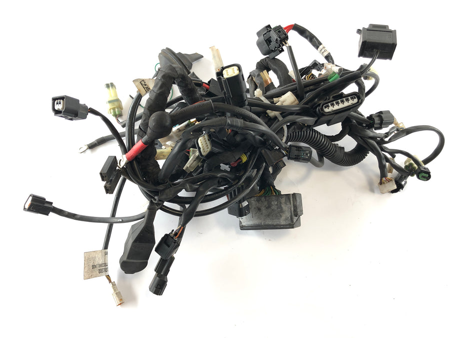 Husqvarna 701 Vitpilen [2018] - Wiring harness